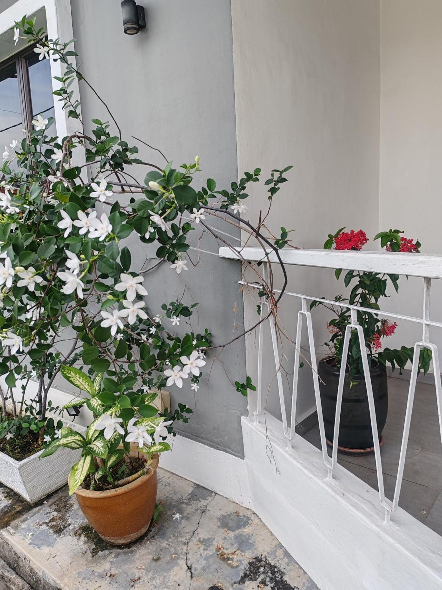 Melaka Beach Villa Kelebang Besar ภายนอก รูปภาพ